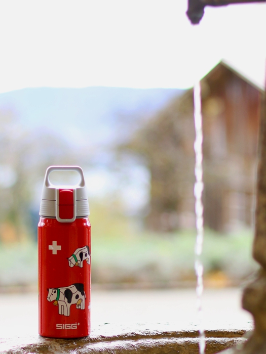 SIGG Butelka 0.6L WMB One Swiss Cow