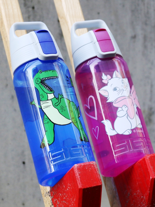 SIGG Butelka 0.5L VIVA One Rex & Trixie